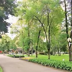 In The Center