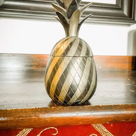 In The Center 아파트 드루스키닝카이