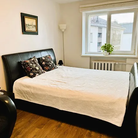 Apartment In The Center Druskininkai