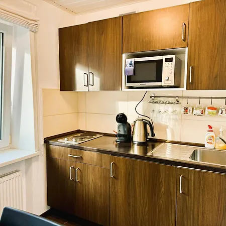 아파트 In The Center 드루스키닝카이