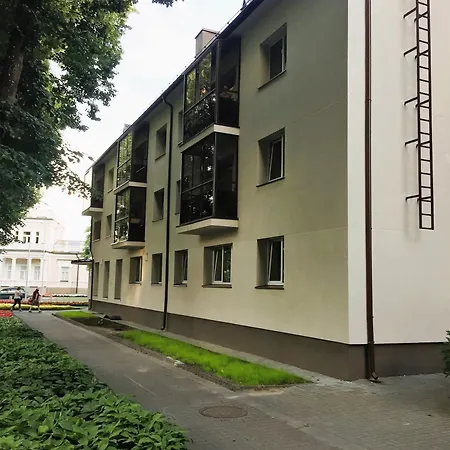 In The Center * 드루스키닝카이