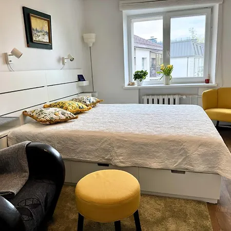 In The Center * 드루스키닝카이