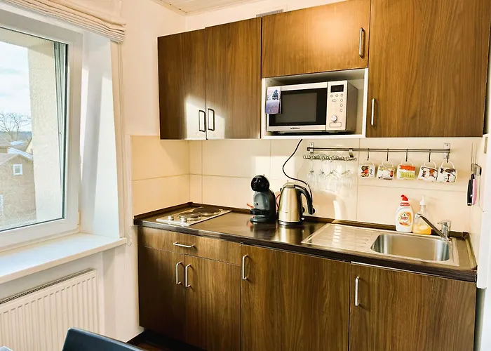 Apartment In The Center Druskininkai